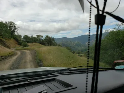 20190520_105448 (Large).jpg